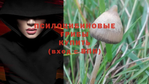 мяу мяу мука Дмитровск