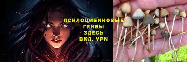 мяу мяу мука Дмитровск