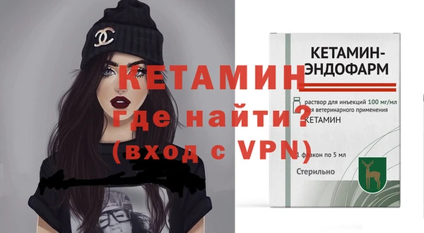 мдпв Ельня