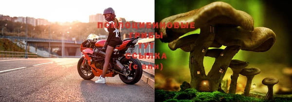 крисы Дмитриев